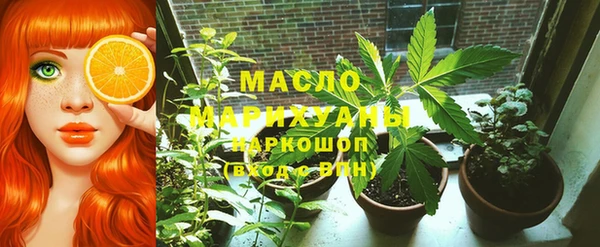хмурый Алексин
